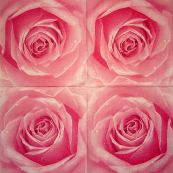 029 Roses - 3-ply (blue)